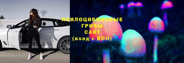 бошки Армянск