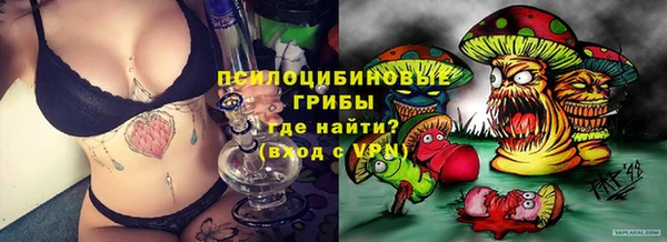 бошки Армянск