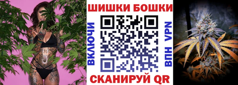 Бошки Шишки гибрид  закладки  Заозёрск 